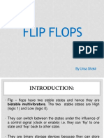 Flip Flops