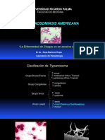 Clase 07 - Tripanosomiasis Americana