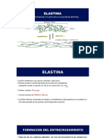 Semana 2.2 Bioqui Teo