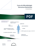 Estructura Bacteriana