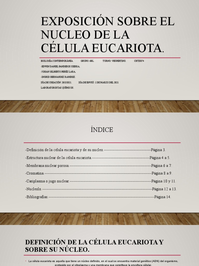 Estructura y función del núcleo eucariota | PDF | Nucleo celular ...