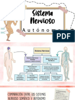 Sistema Nervioso Autonomo