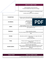 Biology Quarter 1 Unit 2 Day 7 Remedication Fetal Development Card Sort