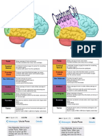 Biology Quarter 1 Unit 2 Day 7 Enrichment Escape Room Printables