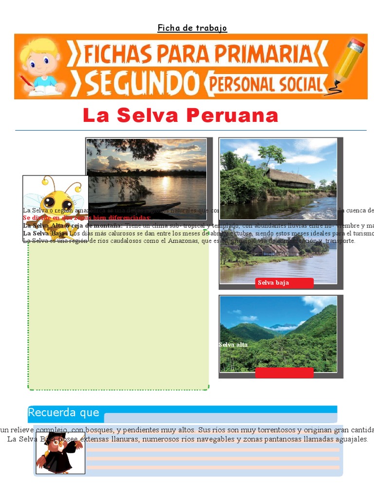 Explorando la Selva Peruana para Niños | PDF | Selva