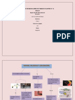 B2.1 Mapa Mental