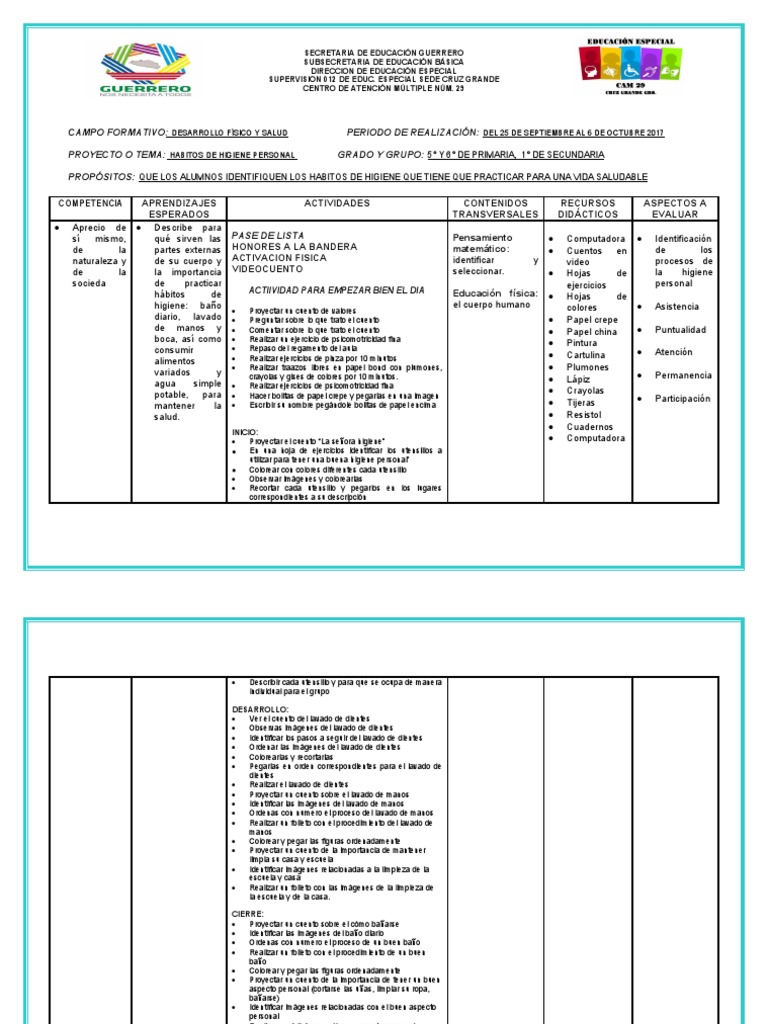 Planeacion 5 | PDF | Educación primaria