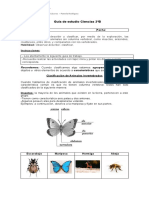 Guía Ciencias 2º Clasificació. Animales Pre Evaluación