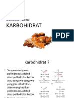 Biomakromolekul Karbohidrat