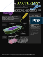 Infografia Bacterias
