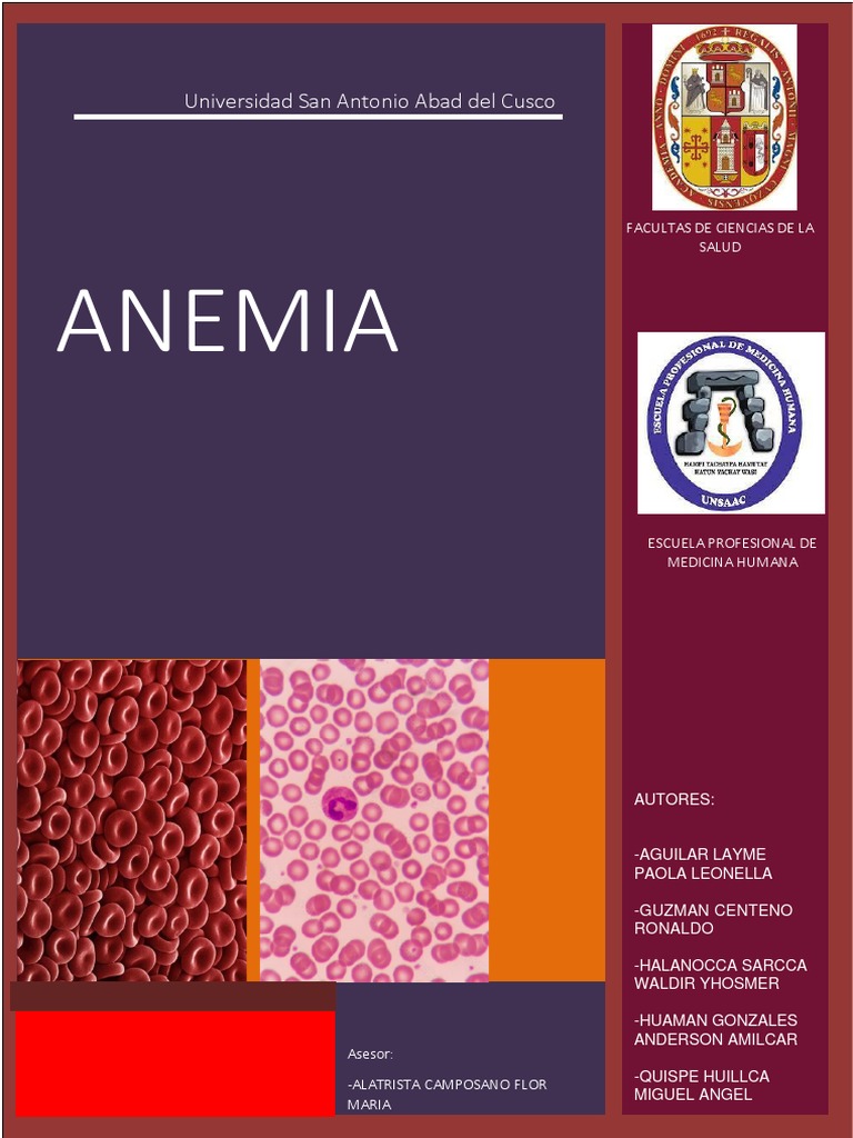 Tipos y consecuencias de la anemia | PDF | Anemia | Glóbulo rojo
