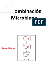 Recombinacion Microbiana