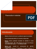 Malaria - Plasmodium malariae