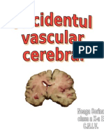 Accidentul Vascular Cerebral (Proiect)