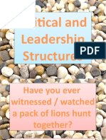 Wk14 Political and Leadership Structures
