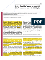 Golgi Ca2+ Pump Activity Essential for Ca2+ Signaling and Viability in Darier Disease Keratinocytes