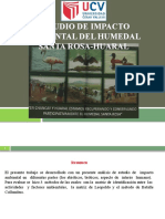 ESTUDIO DE IMPACTO AMBIENTAL DEL HUMEDAL SANTA ROSA-HUARAL