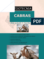 Zootecnia Cabras