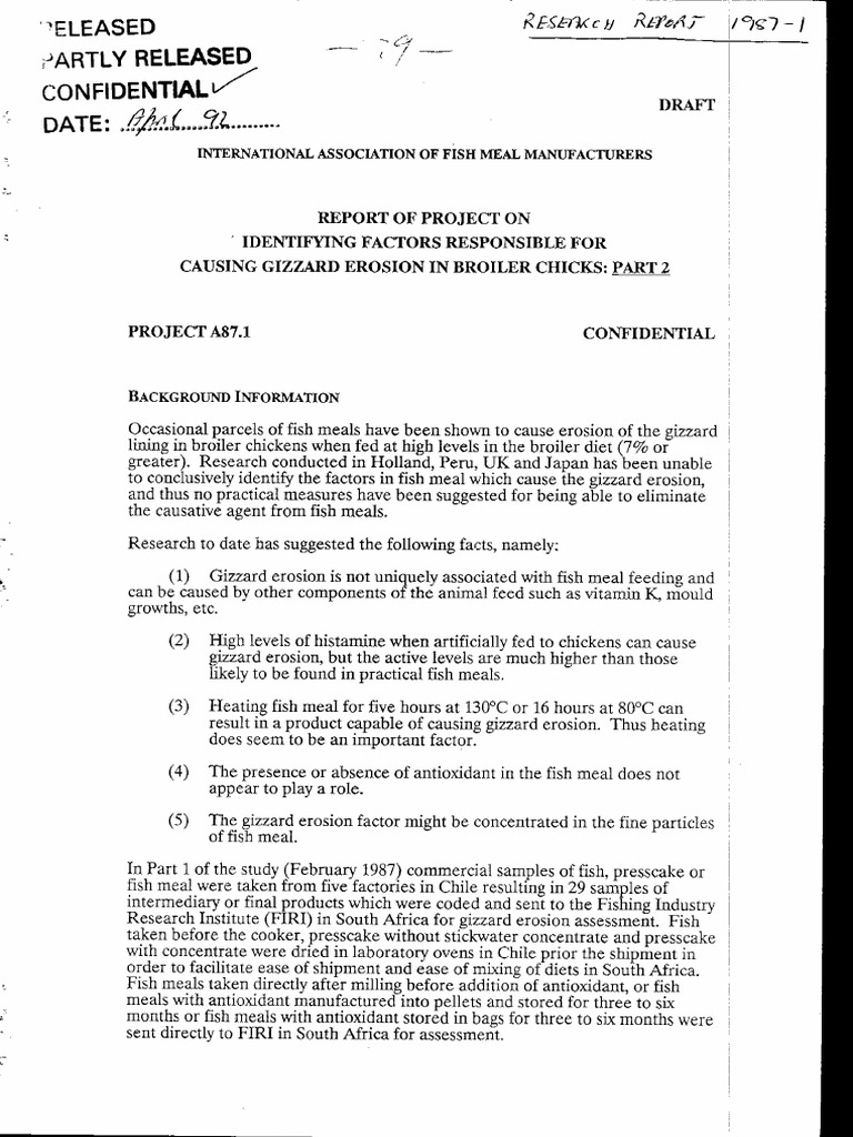 Gizzard Erosion in Boiler Chicks 19871 PDF