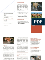 Leaflet PCPS