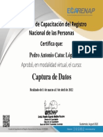 Curso Captura de Datos