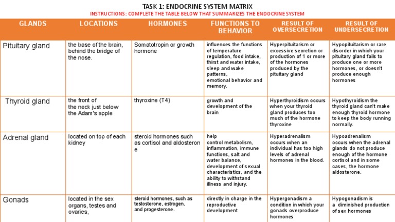 Endocrine System Table