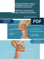 2 Angiología