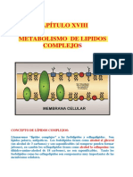 Metabolismo de Lipidos Complejos Ochaeta Cap 18