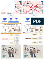 Ejemplos de Organizadores Graficos