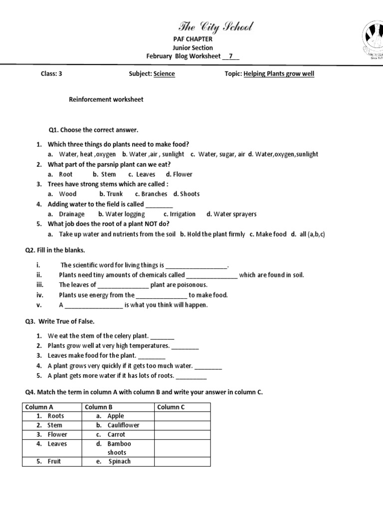 Science Worksheet 7 Class 3 Download Free Pdf Plants Root