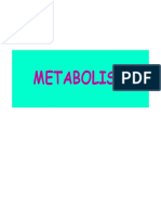 5 - Metabolism BICH 200