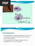 Download Trichomoniasis Ppt by Saba Siva SN59191263 doc pdf