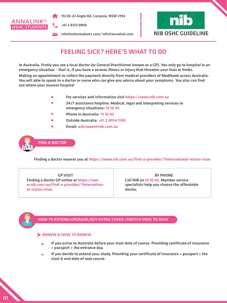 NIB Guideline 1 | PDF | General Practitioner | Travel Visa