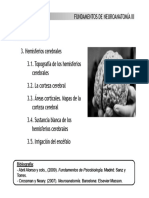 Bloque Tematico III HEMISFERIOS CEREBRALES II Version para Imprimir