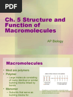 AP BIO MACROMOLECULES Chapter 5 Review