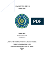 7a. Nur Husnah Hasinah. 1804034013. Tugas Review Jurnal Inflamasi Kronik