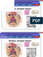 fdokumen.com_jaringan-hewan-biologi-sma-kelas-xi