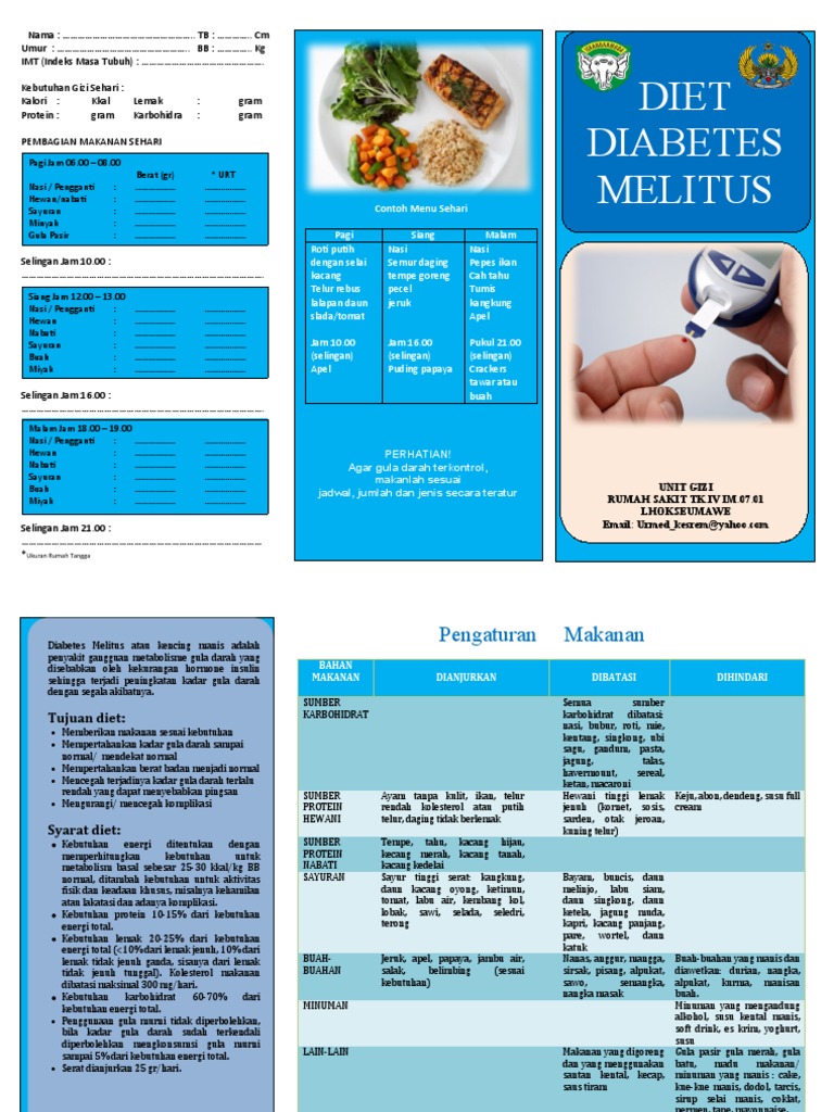 Menu Diet Diabetes Melitus Sehari-hari | PDF