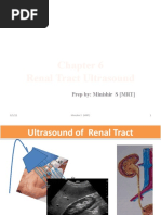 Renal Ultrasound