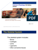HP II P3 Skeletal System