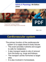 HP II P5 Cardiovascular System, Heart