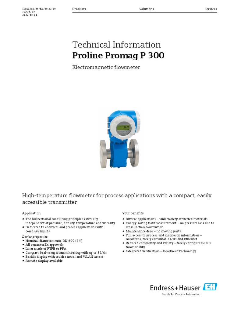 Endress+Hauser Flow Meter PDF Wireless Lan Computer Network