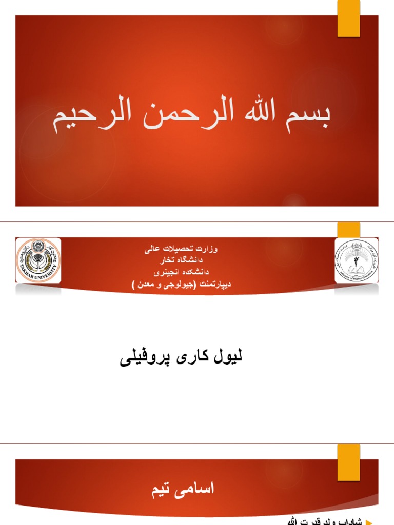 لیول کاری | PDF