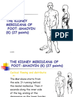 12 Kidney