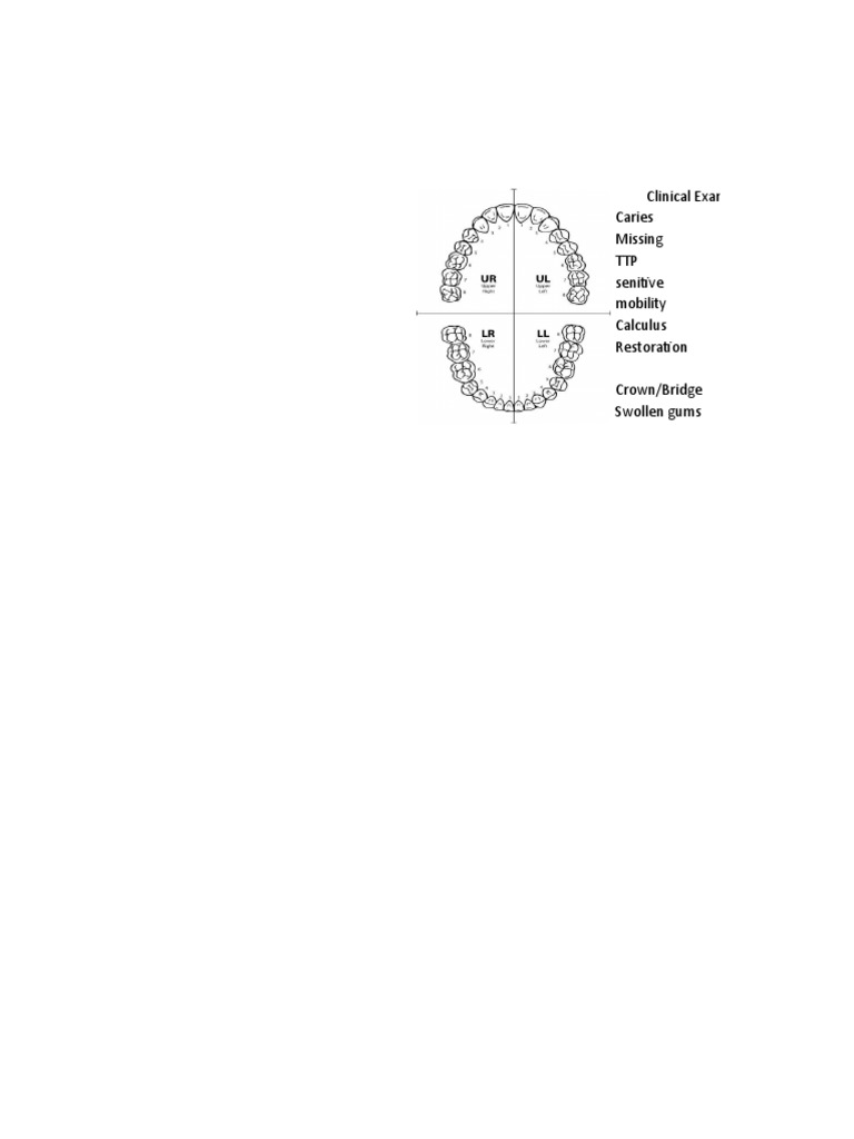 Dental Chart PDF