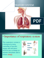 Respiratory System