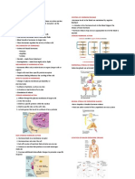 Endocrine System