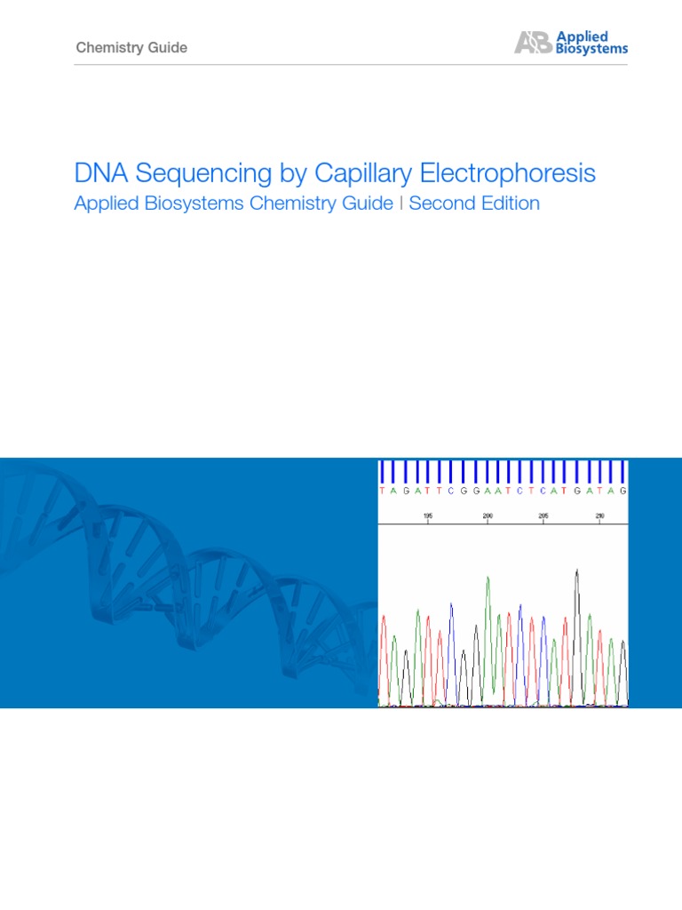 Cms 041003 | PDF | Dna Replication | Dna Sequencing