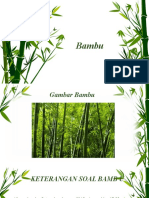Presentasi Bambu IPA