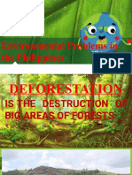 Environmental Problems in the Philippines: Deforestation, Flooding, Illegal Logging